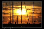 Ciao a tutti sono nuovo in questo forum e vorrei proporvi la mi aprima immagine (sono un neofita pure con le reflex). Critiche e suggerimenti sempre ben accetti (se in un linguaggio non troppo tecnico :D )