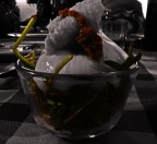 Burrata