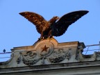 un'aquila su Roma