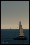 Controluce vela