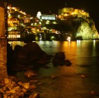 Scilla di notte