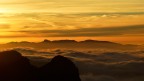 Nebbia all'alba