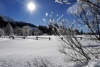 Stessa luogo e situazione della precedente per con sole direttamente in macchina. Penso che senza neve un controluce del genere sia realizzabile solo due scatti in HDR. 
ISO 100 15 mm 1/750 f9 (nikon 12-24 f4) senza nessun filtro.
Post produzione su RAW con Capture NX per curve e contrasto + mdc.
Naturalmente critiche e commenti (PaP e VaV) sempre graditi.