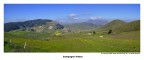 Campagna vitese