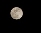 Luna piena