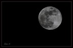 The moon