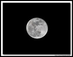 Luna 23-01-08