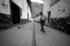 cammino