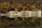 Simmetria