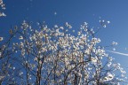 Nikon D200 - Nikkor 12-24 f/4.....22mm....iso 100....f/8....1/250