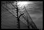 orrori e necessit del nostro tempo