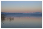 alba di plenilunio
