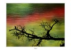 I colori dell'acqua