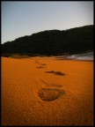 16mm
f 8
1/40
Iso 100
Olympus E-500