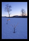 Di luce propria