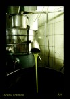 Scansione: pellicola fuji provia 100F, formato 6x7, stampa ciba