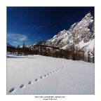 commenti e critiche ben accetti.
scatto di un paio di settimane fa'....la foto  scattata nei pressi del lago di Devero..ho ottenuto la foto unendo 2 scatti verticali fatti con il tokina 12-25 con polarizzatore...