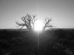 Desert view