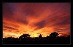 SILHOUETTE 2