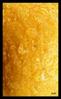 Lemon 2