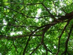 Relax nel verde