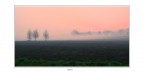 Alba con nebbia