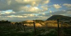 campagna anconetana