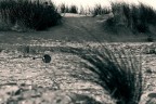 In spiaggia 02