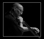 Scott Colley