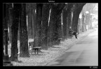 l'attesa