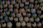 Colori