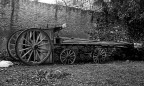 il carro