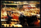  festa