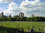 central park, NY, 2005