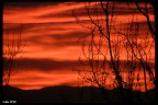 sarebbe il tramonto ma il titolo mi piaceva d+ cos :D