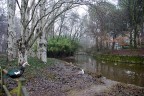 Al parco