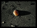 Ombre sulla Luna - C' Vita nello Spazio