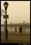Central Park