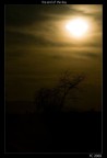 the end of the day