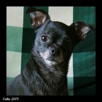 che c'è?? :p che c'è?? :p