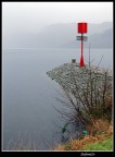 Nessie fatti vedere...