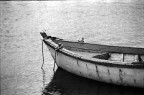 Fomapan 400+Gradual ST20
Scansione da negativo -PULITA no lavoro di computer-