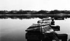 Ilford Panf 50+Ilfosol S
Scansione da negativo -PULITA no lavoro di computer-