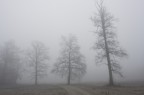 Avvolti nel silenzio