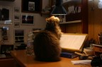 solarium