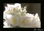 The flowers