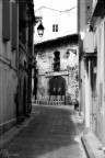Camargue