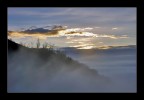 Eccola  in arrivo