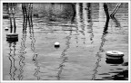 Grafismi acquatici