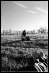 Fisheye
